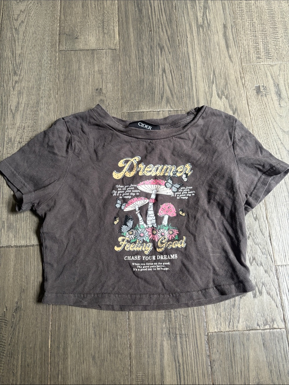 Cider | Brown 'Dreamer Feeling Good' Mushroom Hippie Graphic Crop Tee Size S